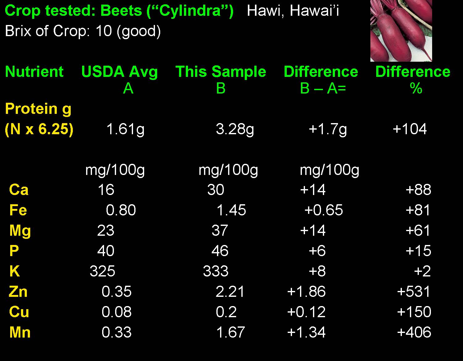 Cylindra beets nutrition farmed jpg